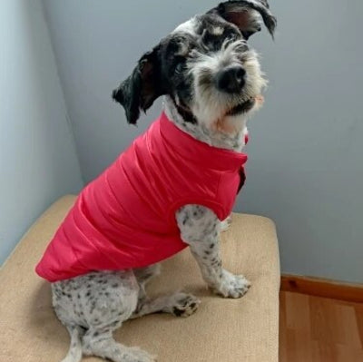 Manteau-chien- Pet's-Jaket™-Rouge-Profil-2