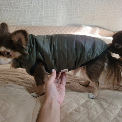 Manteau-chien- Pet's-Jaket™-Vert-Profil-2