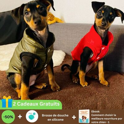 Manteau chien-Pet's-Jaket™-Offre-Carroussel-33
