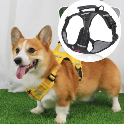 Harnais-anti-traction-Safety-Hound™-Noir