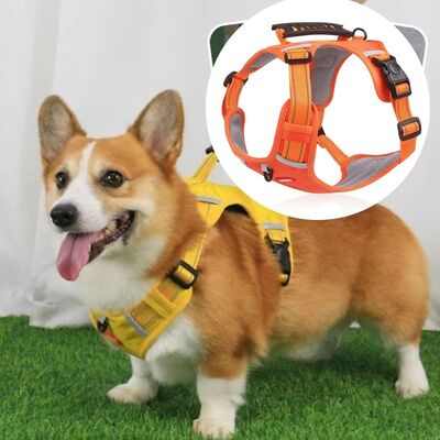 Harnais-anti-traction-Safety-Hound™-Orange