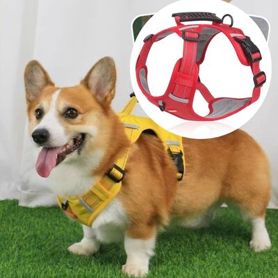 Harnais-anti-traction-Safety-Hound™-Rouge