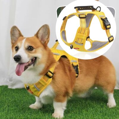 Harnais-anti-traction-Safety-Hound™-Jaune