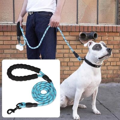 Laisse pour chien | Secure-Comfort™
