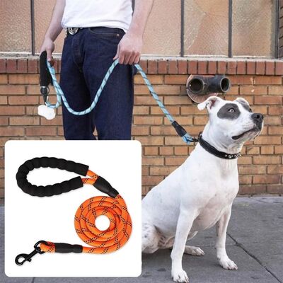 Laisse pour chien | Secure-Comfort™