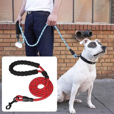 Laisse pour chien | Secure-Comfort™
