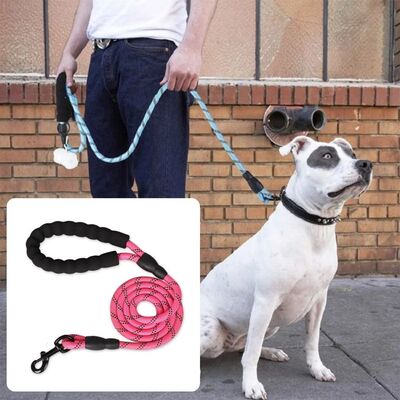 Laisse pour chien | Secure-Comfort™