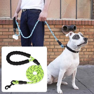 Laisse pour chien | Secure-Comfort™