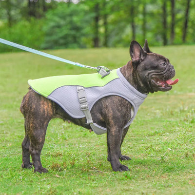 Vêtement-pour-chien-Summer-Freshness™️-Caroussel-Vert-Profil