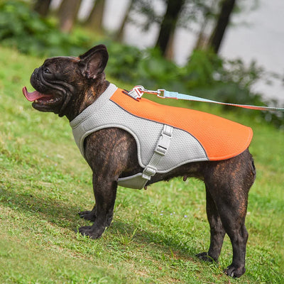 Vêtement-pour-chien-Summer-Freshness™️-Caroussel-Orange-Profil-Gauche