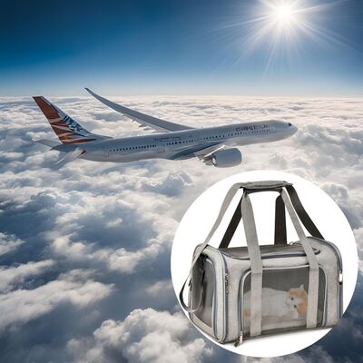 Transport-chien-Dog-In-Plane-Gris