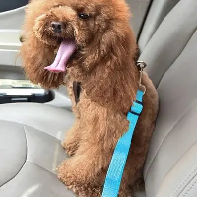 Transport chien | Doggy-Belt™