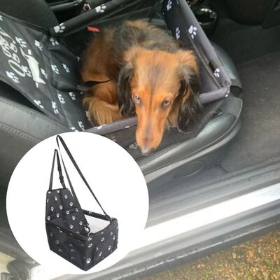 Transport chien | P'tit-Pacha™