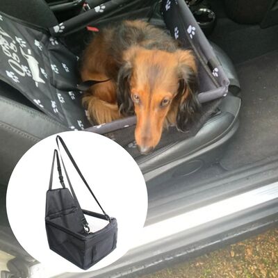 Transport chien | P'tit-Pacha™