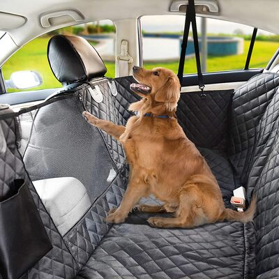 Transport-chien-Siège-Impec-Serin