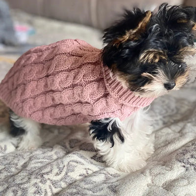Vêtement_pour_chien _Puppy's-Pullover™️_Chic
