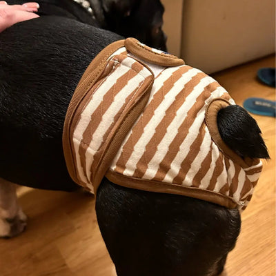 Vetement-pour-chien-Doggy-Pantie-Dit-Jaune