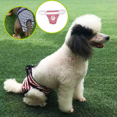 Vetement-pour-chien-Doggy-Pantie-Présentation