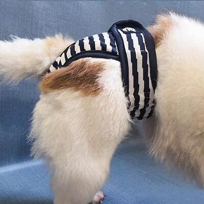 Vetement-pour-chien-Doggy-Pantie-Bleu