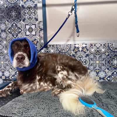 Vêtement-pour-chien-Doggy-Snood™️-Cool