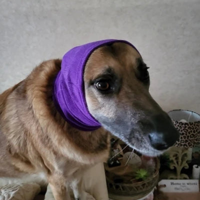 Vêtement-pour-chien-Doggy-Snood™️-Pépère