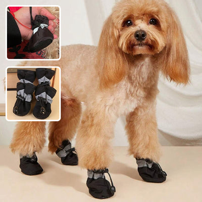 Chaussure-pour-chien-Winter-Boots™️-Noir