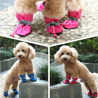 Chaussure-pour-chien-Winter-Boots™️-Carrousel-6