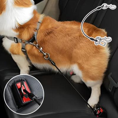 Laisse-chien-Universalys™-Polyvalant