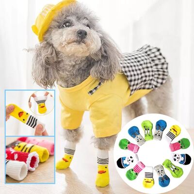 Chaussure-chien-Pretty-Socks™️-Présentation