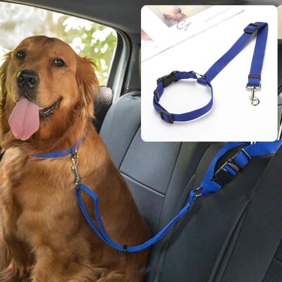 Laisse-chien-Secure-Leash™-Bleu