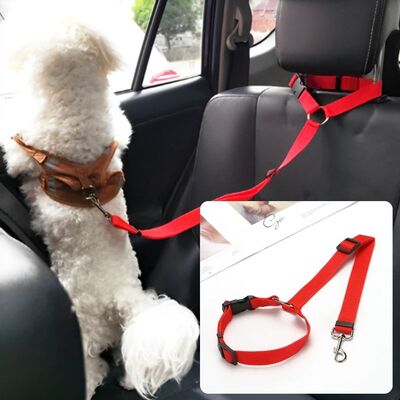 Laisse-chien-Secure-Leash™-Rouge