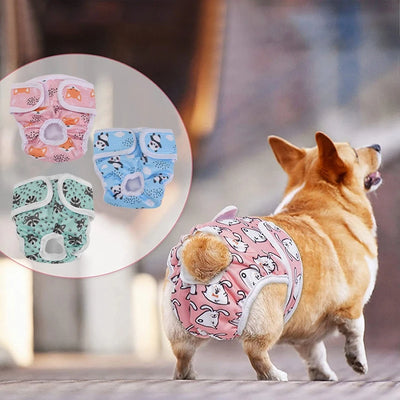 Culotte-pour-chien-Confort-Exquis™-Préentation