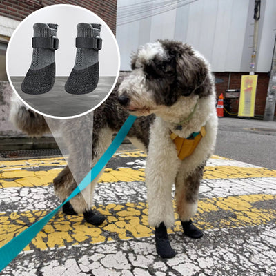 Chaussure-chien-Agility-Boots™-Intérieur