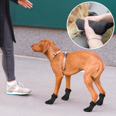 Chaussure-chien-Agility-Boots™-Docile