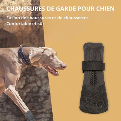 Chaussure-chien-Agility-Boots™-Présentation