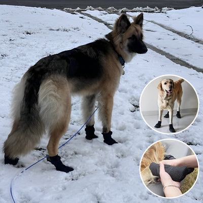 Chaussure-chien-Agility-Boots™-Neige