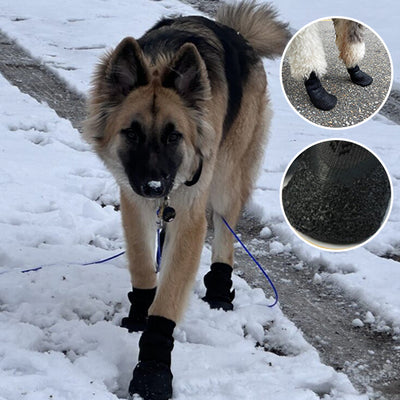 Chaussure-chien-Agility-Boots™-Hiver