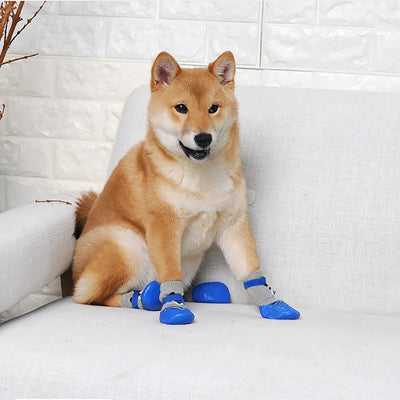 Chaussure-chien-Doggy-Socks™️-Charme