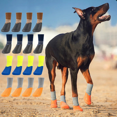 Chaussures-pour-chien-Élégancia™️-Présentation