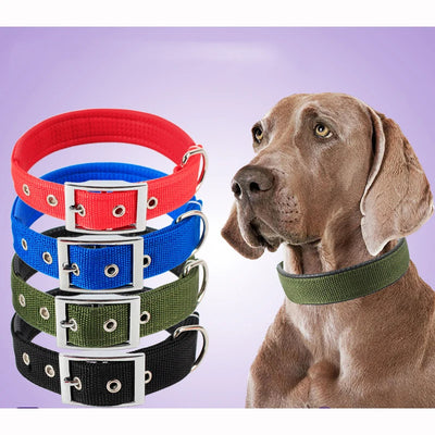 Collier-chien-Classico™-Présenation