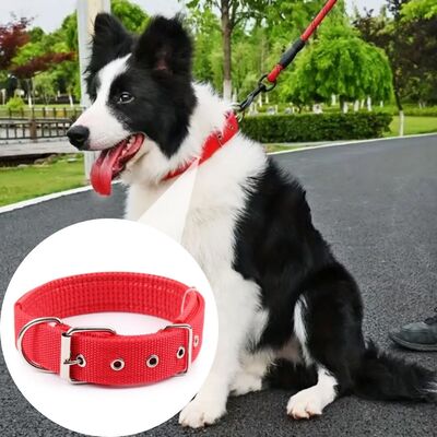 Collier-chien-Classico™-Rouge