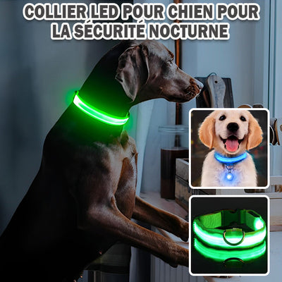 Collier-chien-Luciole-Vertbleu