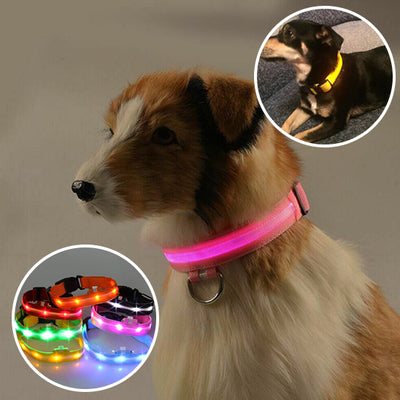 Collier-chien-Luciole-Rose