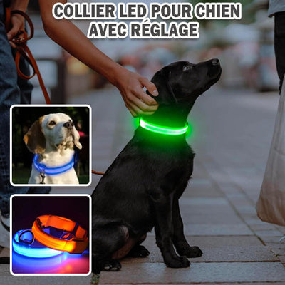 Collier-chien-Luciole-Vert