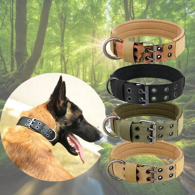 Collier-chien-Militarys™-Présentation