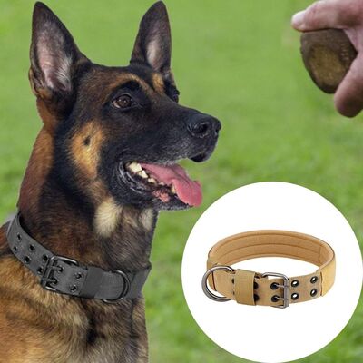 Collier-chien-Militarys™-Kaki