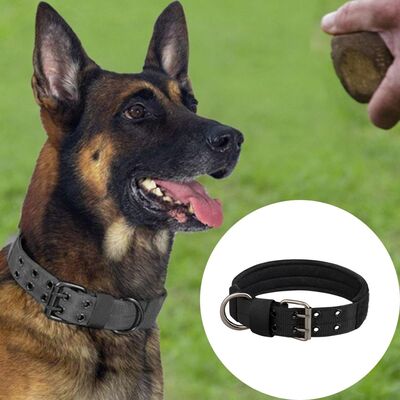 Collier-chien-Militarys™-Noir