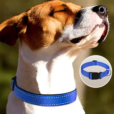 Collier-chien-Secure-Collar™-Bleu
