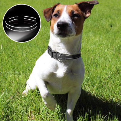 Collier-chien-Secure-Collar™-Noir