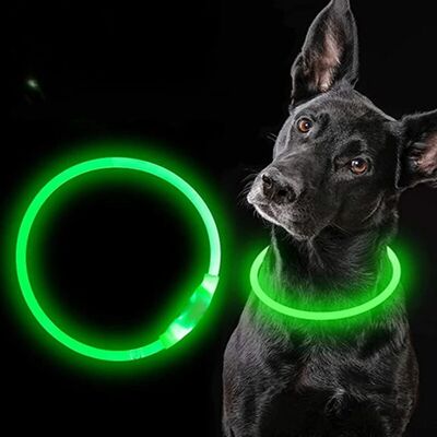 Collier-pour-chien-Luminus™-Vert-Action